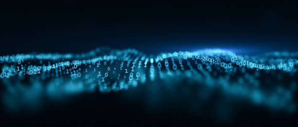 Complex data and code representing algorithmic systems